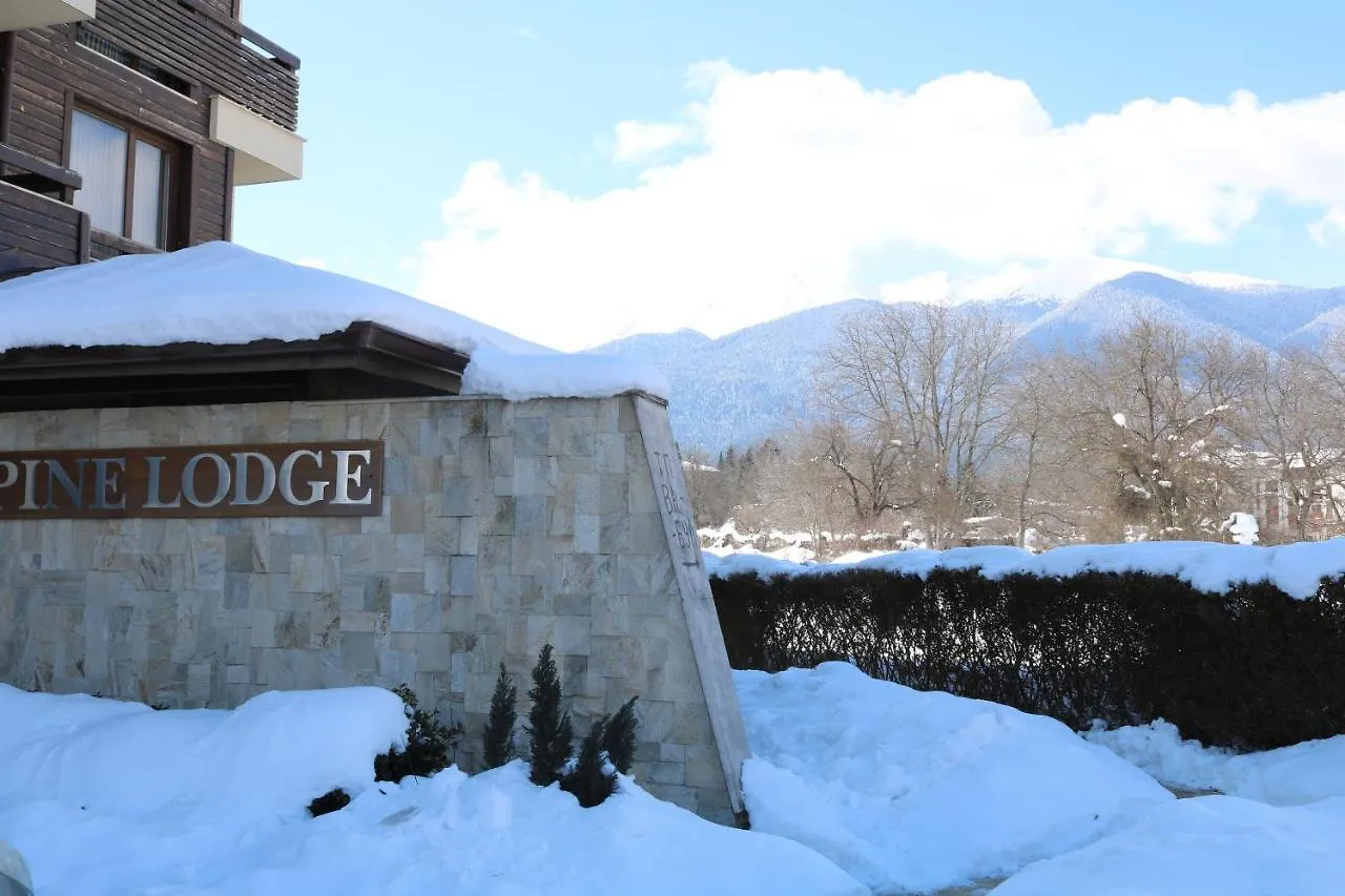 Private Apartments In Alpine Lodge バンスコ