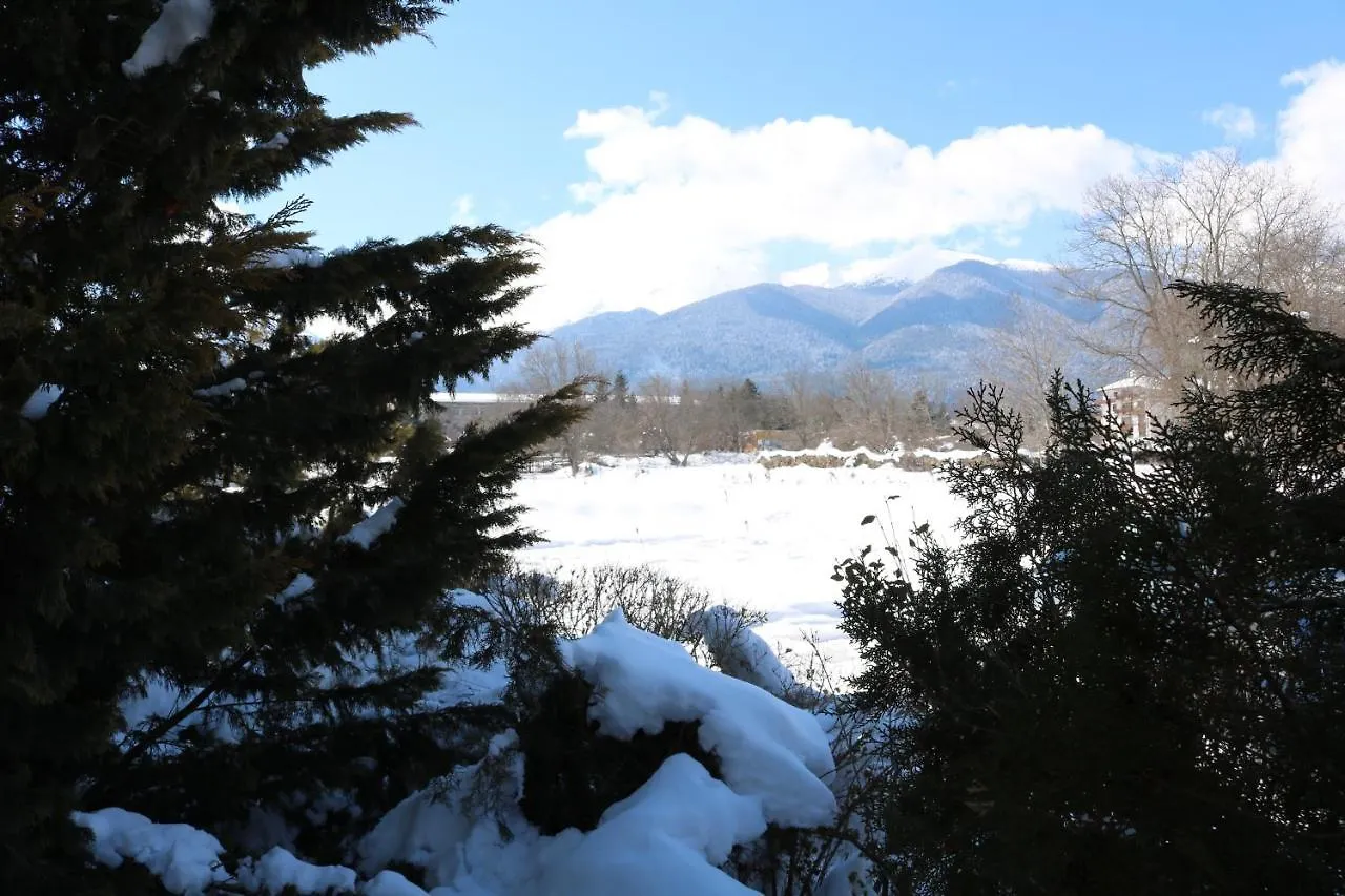 Private Apartments In Alpine Lodge バンスコ